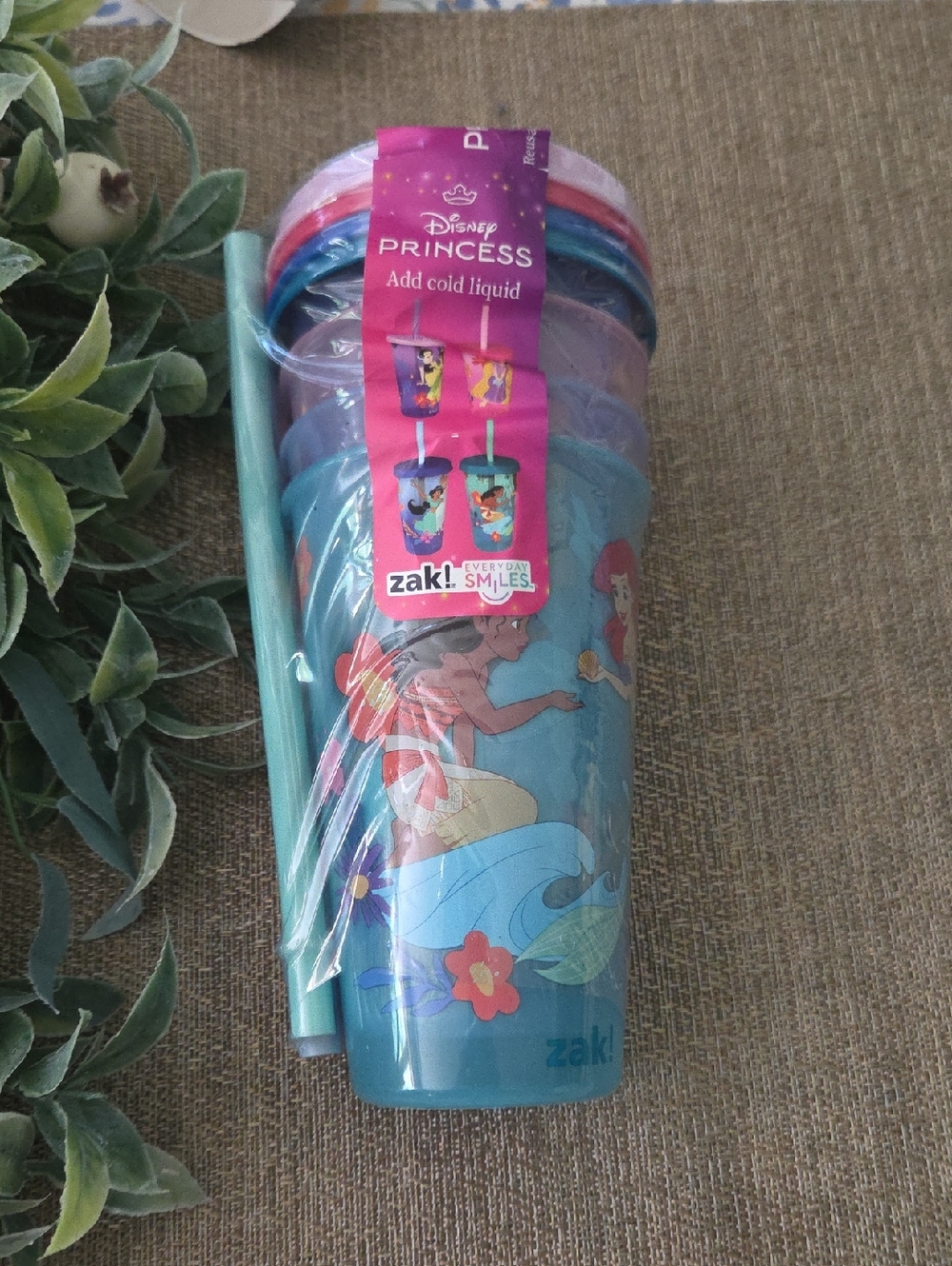 Disney Princess Zak!  Plastic Tumbler Set with Straws & Lids